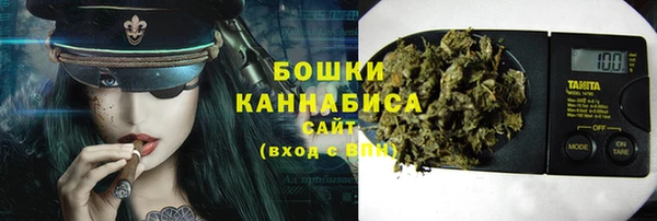 дмт Богородск