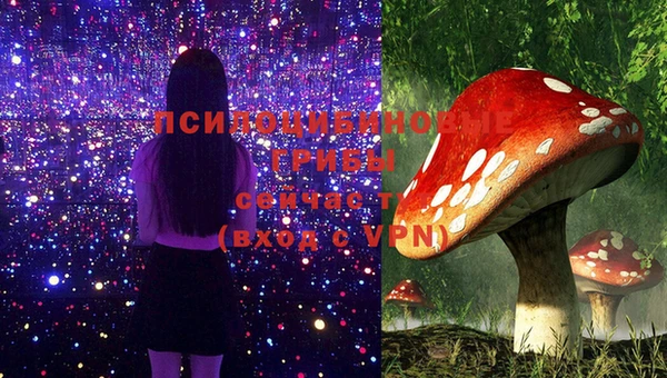 альфа пвп Богданович