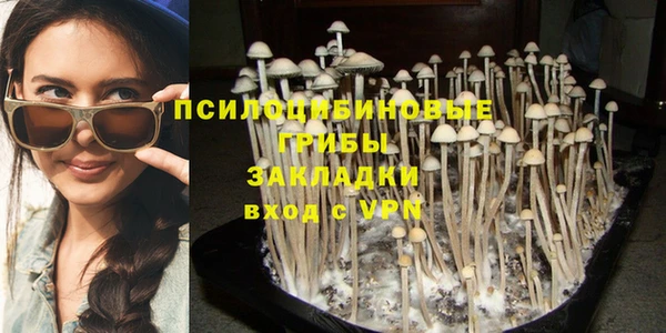 альфа пвп Богданович