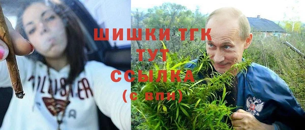дмт Богородск