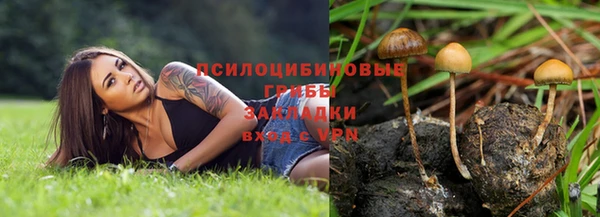 МДПВ Богородицк
